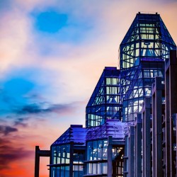 Sunset at the National Gallery of Canada